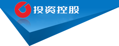 四川远为投资有限公司